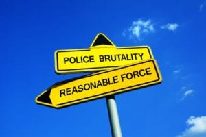 reasonable force vs police brutality