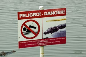 Warning signs in Spanish